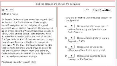 Online Reading Comprehension Example