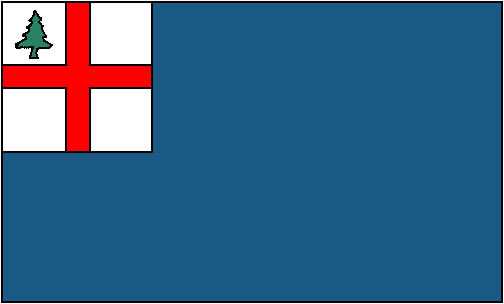 Bunker Hill Flag
