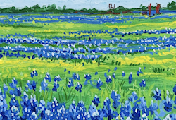 Texas