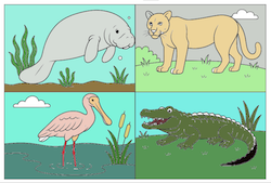 Florida Symbols