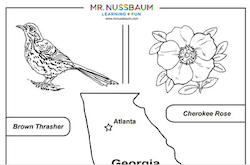 Georgia Symbols