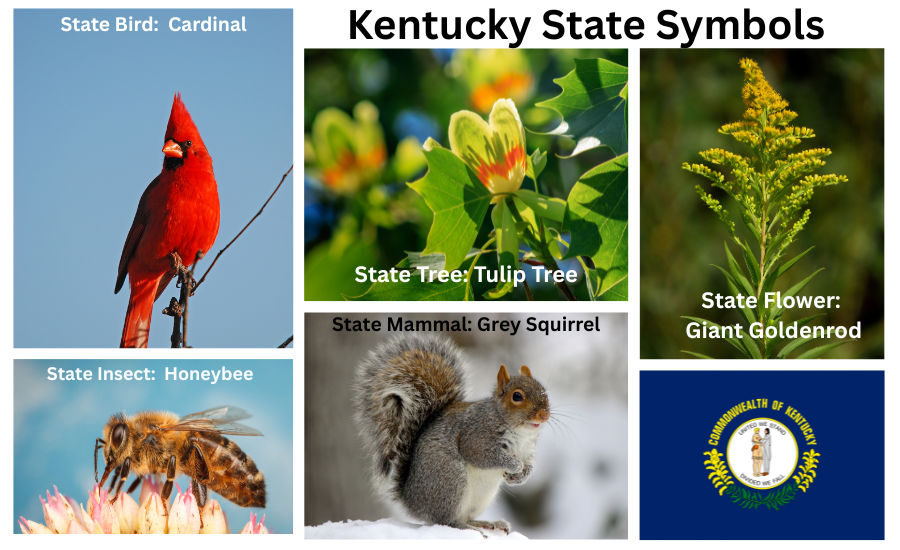 Ohio Symbols