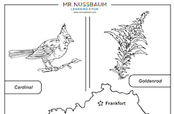 Ohio Symbols
