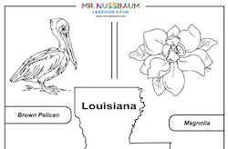 Arkansas Symbols