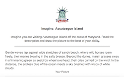 Assateague Coloring