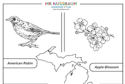 Michigan Symbols