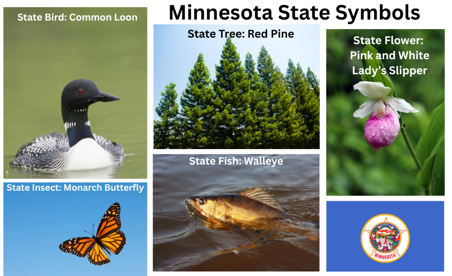 Illinois Symbols