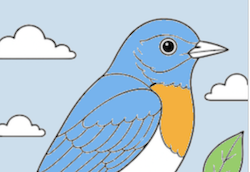 Eastern Bluebird