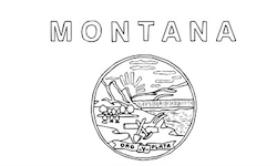 West Virginia Flag