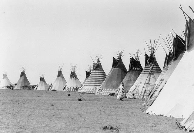 Tipis