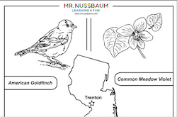 New Jersey Symbols