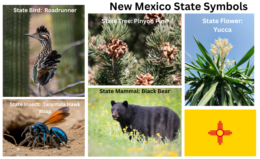 Colorado Symbols