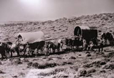 Oregon Trail