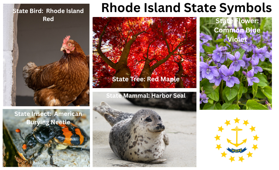 Connecticut Symbols