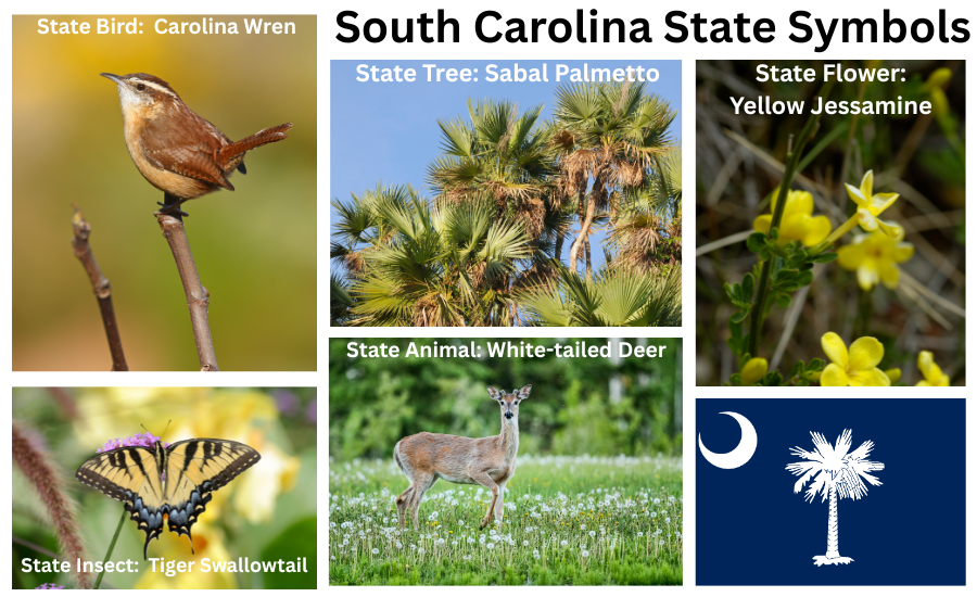 Florida Symbols