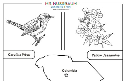 South Carolina Symbols