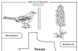 Texas Symbols