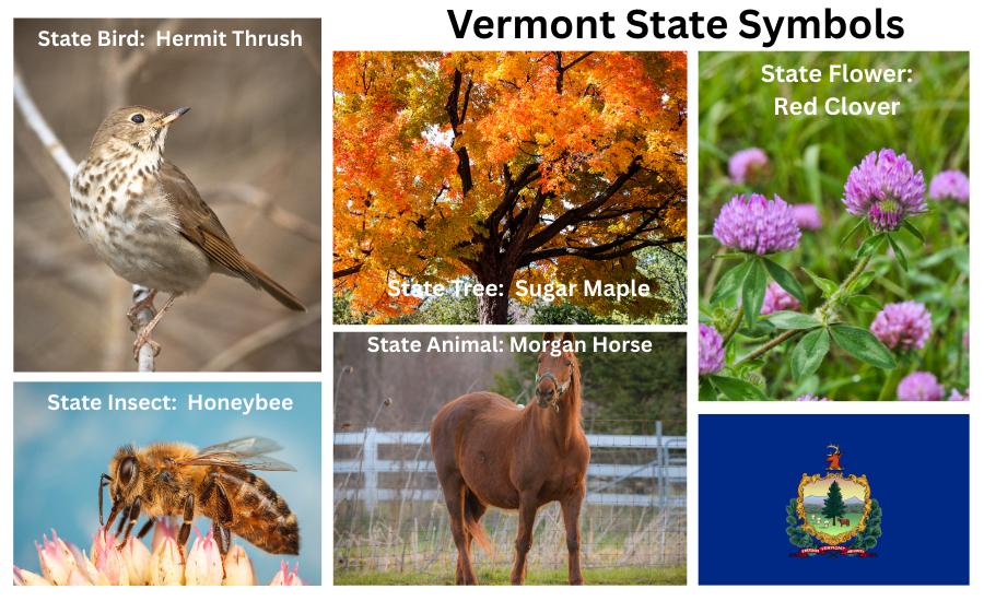Vermont Symbols