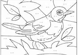 Robin Mosaic Math