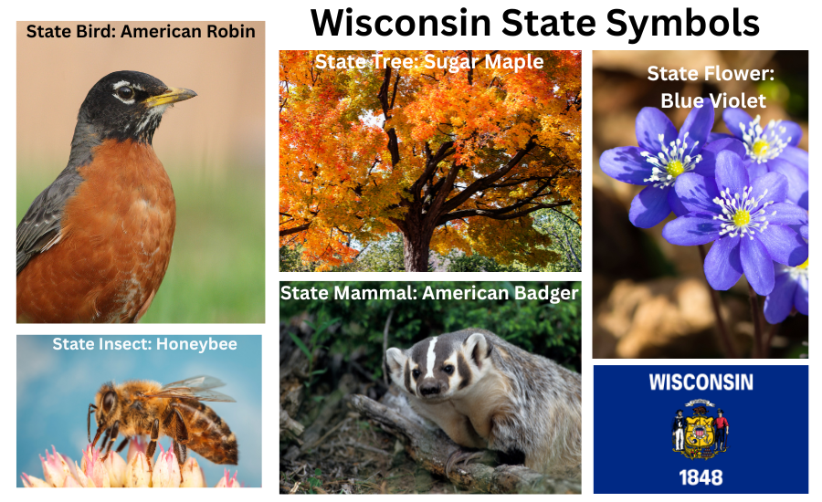 Illinois Symbols